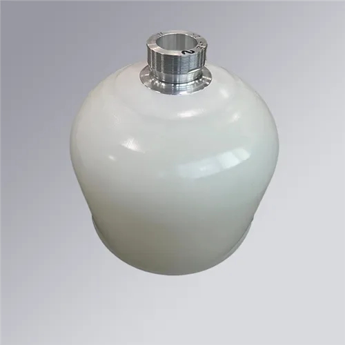 أدخل القالب